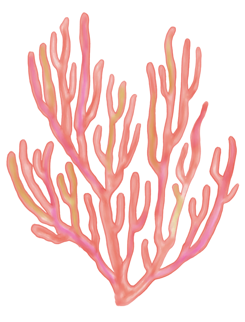 the pink one i guess